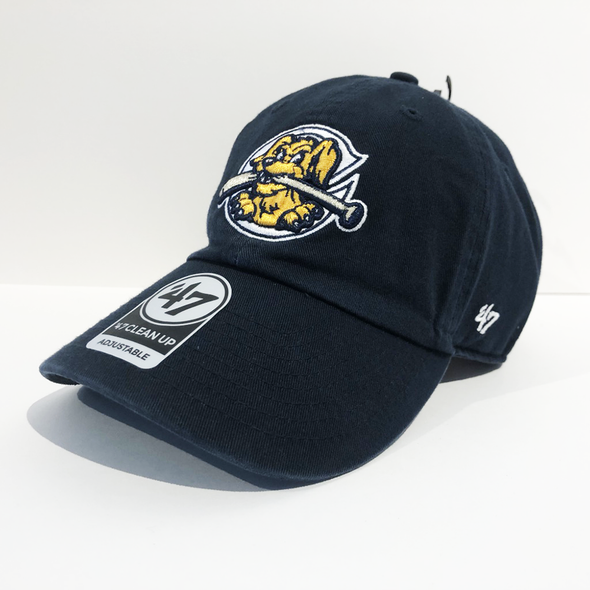 Charleston RiverDogs Clean Up Navy Cap