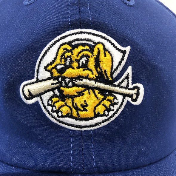 Charleston RiverDogs Clean Up Royal Cap