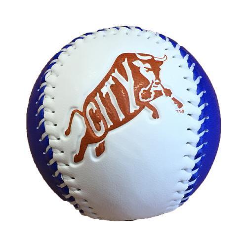 Durham Bulls Display Baseball Bull City