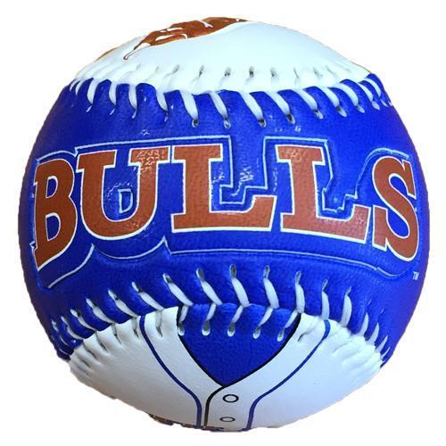 Durham Bulls Display Baseball Bull City