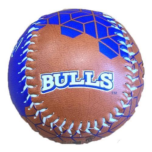 Durham Bulls Display Baseball Geo