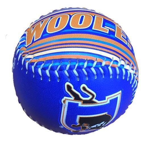 Durham Bulls Display Baseball Wool E. Colors