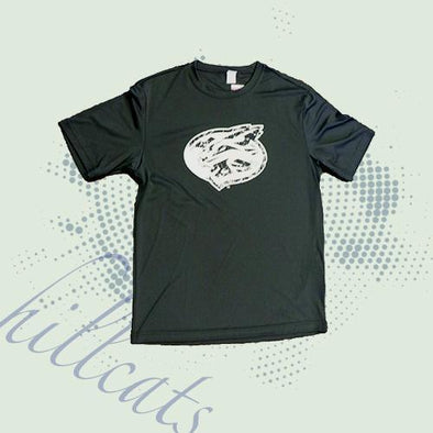 Lynchburg Hillcats Grey Athletic Shirt