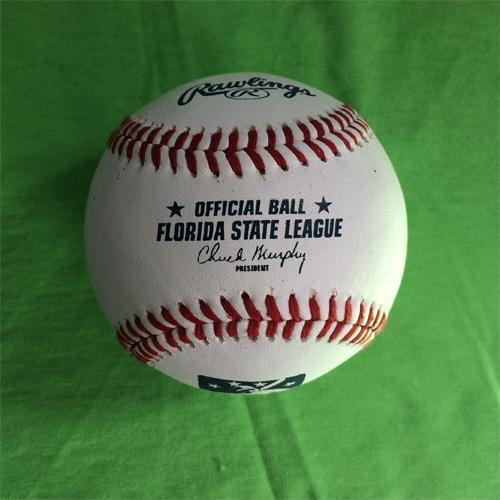 DAYTONA TORTUGAS RAWLINGS FLORIDA STATE LEAGUE OFFICIAL GAME BASEBALL