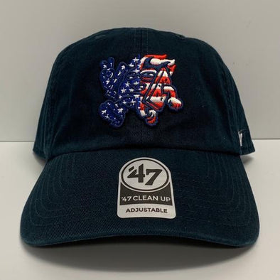 Rocky Mountain Vibes Stars and Stripes Toasty Adjustable Cap