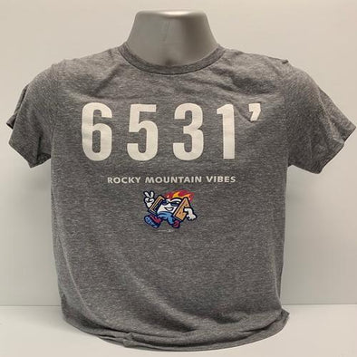 Rocky Mountain Vibes Altitude Tee