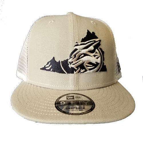 Lynchburg Hillcats Virginia State Grey Mesh Snapback