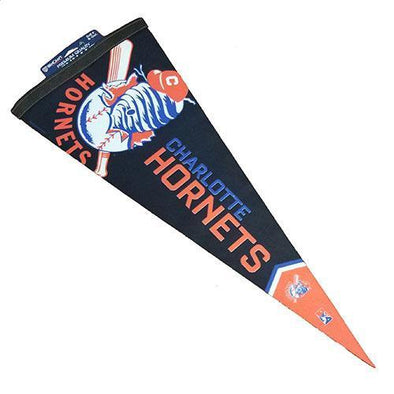 Charlotte Hornets Premium Pennant