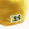 Charleston RiverDogs Jamaican Bobsled Night Fitted Cap