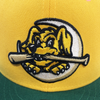 Charleston RiverDogs Jamaican Bobsled Night Fitted Cap