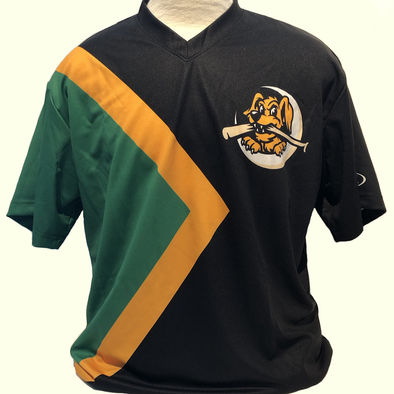 Charleston RiverDogs Jamaican Bobsled Night Jersey