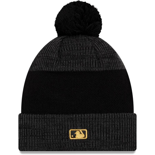 Washington Nationals World Series Parade Knit Cap