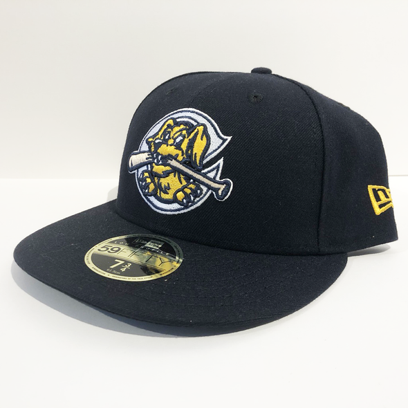 Charleston RiverDogs Home Low Crown Cap