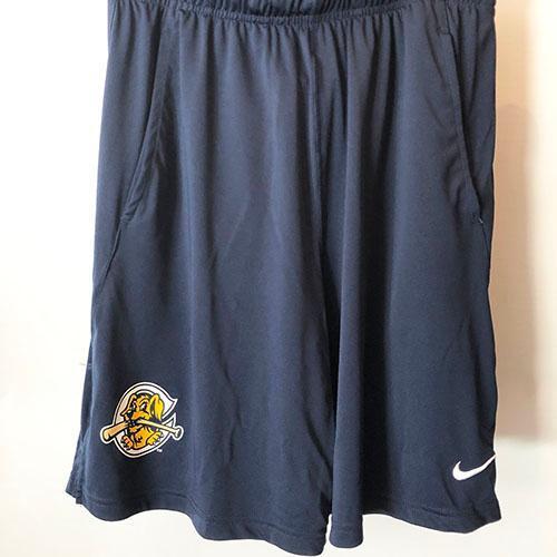 Charleston RiverDogs Nike Men's Fly Athletic Shorts