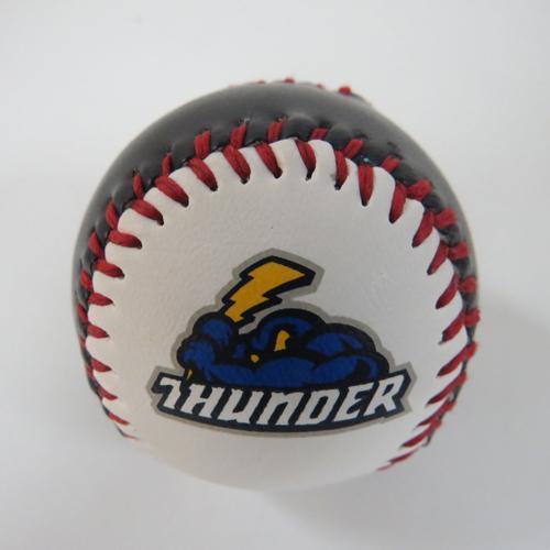 Trenton Thunder Mini Baseball