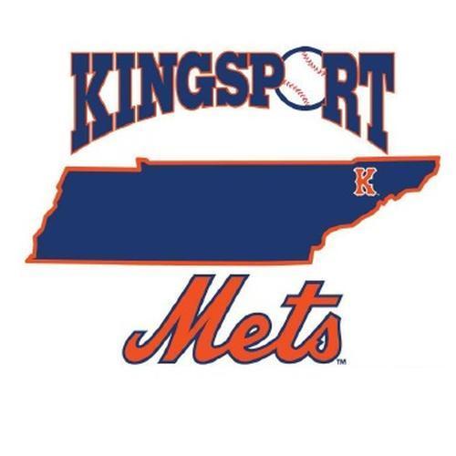 Kingsport Mets Multi-Use Decal