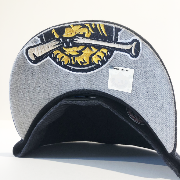 Charleston RiverDogs NBA Draft Night On-Field Cap