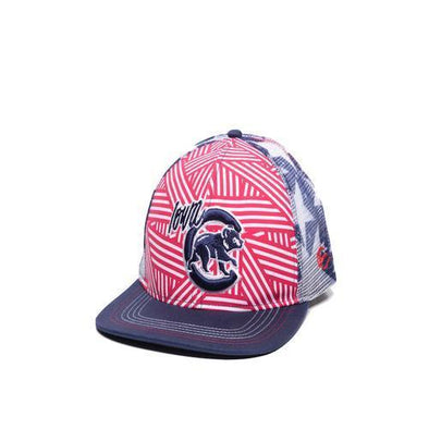 Iowa Cubs Freedom Adjustable Cap