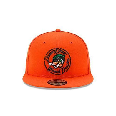 Wood Ducks Alternate On Field 5950