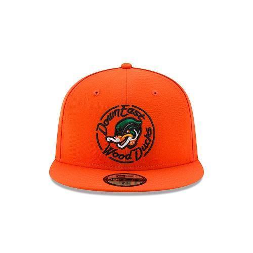 Wood Ducks Alternate On Field 5950