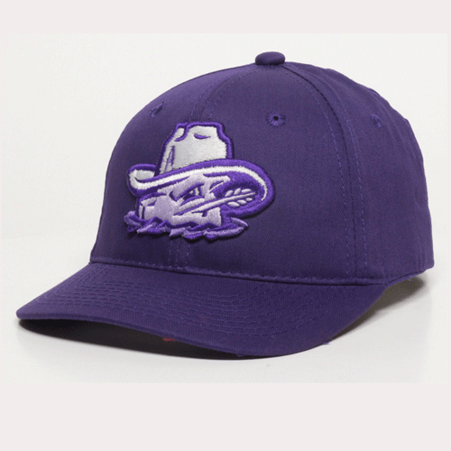 Amarillo Sod Poodles Purple Youth GL271 Hat