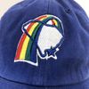 Charleston RiverDogs Clean Up Rainbows Cap