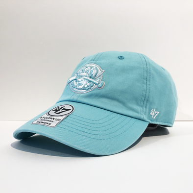 Charleston RiverDogs Tiffany Blue Clean Up