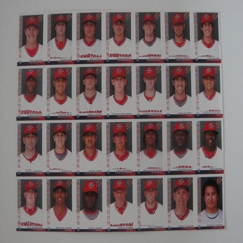 Harrisburg Senators 2010 Harrisburg Senators Team Set