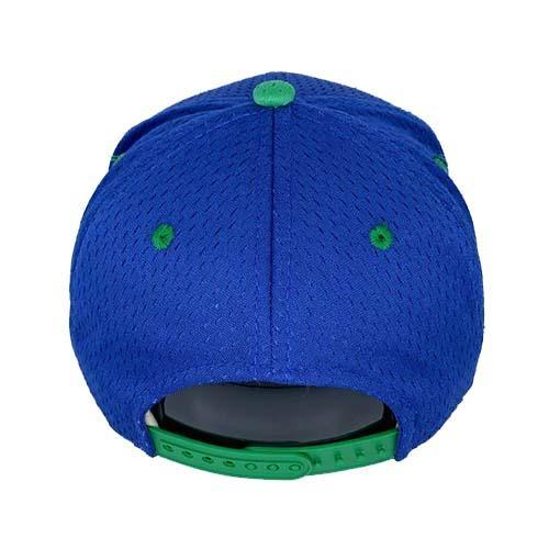 Hartford Yard Goats OC Sports Starter Snap Back in Blue / Green