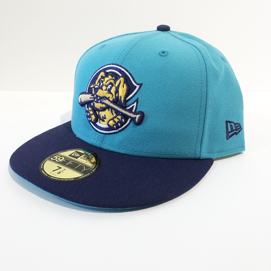 Charleston RiverDogs 2018 On-Field Teal and Purple Cap