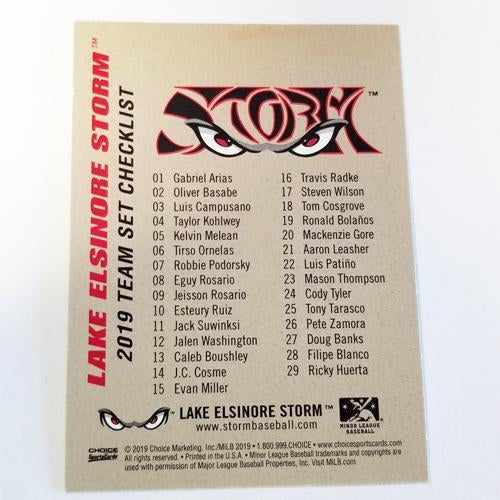 Lake Elsinore Storm 2019 Team Set