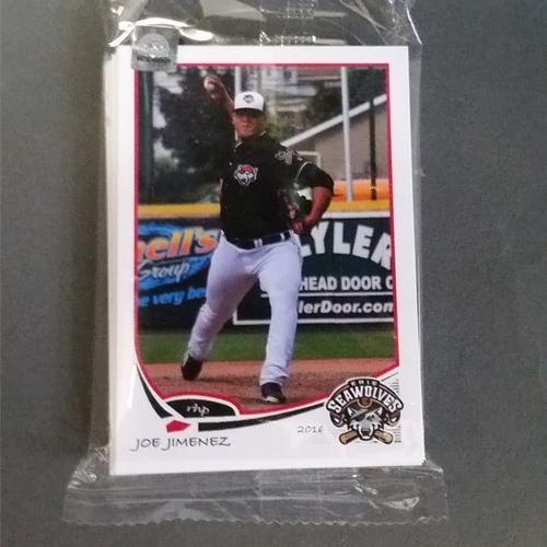 Erie SeaWolves 2016 Team Set