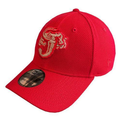 Jacksonville Jumbo Shrimp New Era Tonal Flect 39Thirty