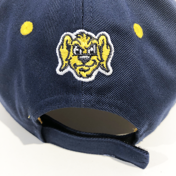 Charleston RiverDogs Toddler Pixels Cap