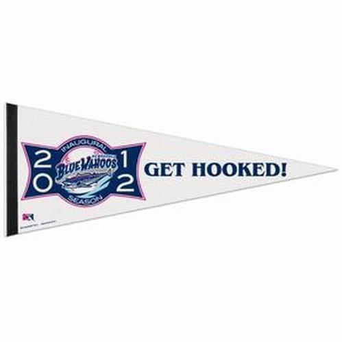 Pensacola Blue Wahoos Pennant - Get Hooked!