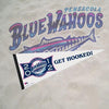 Pensacola Blue Wahoos Pennant - Get Hooked!