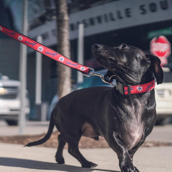 Nashville Sounds Dog Leash