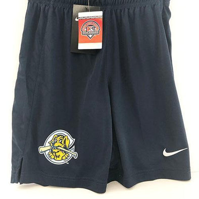 Charleston RiverDogs Nike Youth Dry Fly Shorts