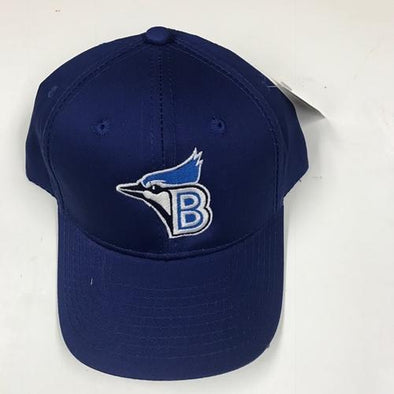 Youth Royal Blue Hat