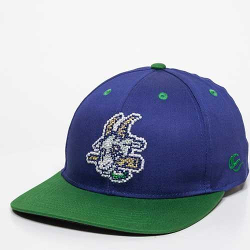 Hartford Yard Goats OC Sports Yth Digital Snap Back